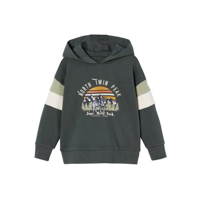 Sweat à capuche motif grahique manches colorblock VERTBAUDET