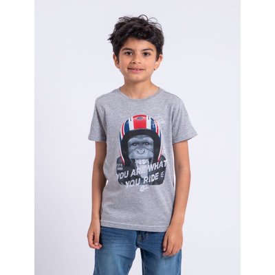 T-shirt Manches Courtes Col Rond Pur Coton Numadino-j RITCHIE