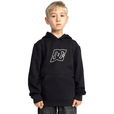 Sweat à capuche PALLET PH. DC SHOES