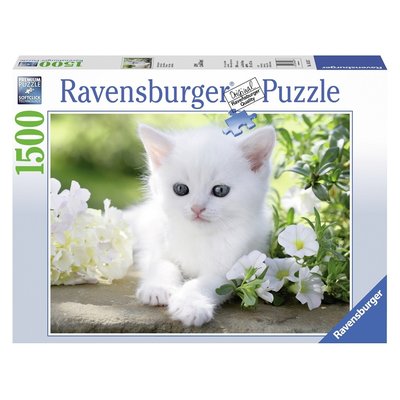 Puzzle Chaton Blanc 1500 Pieces RAVENSBURGER