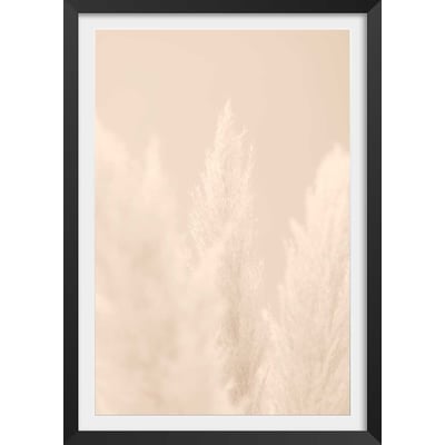 Affiche  scandi  de roseaux HEXOA