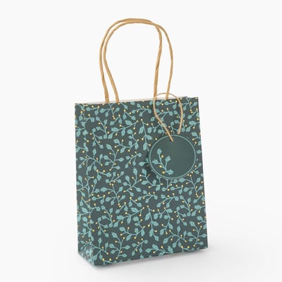 Sac cadeau MONOPRIX