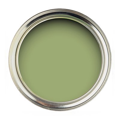 Water Based Eggshell Paint Artichoke SANDERSON