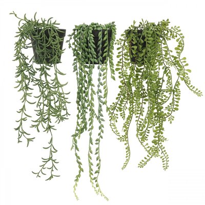 Plante succulente retombante artificielle 60cm lot de 3 LIGNE DECO