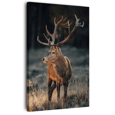 Tableau Mural Cerf Sauvage ANIMAUX CEANOTHE
