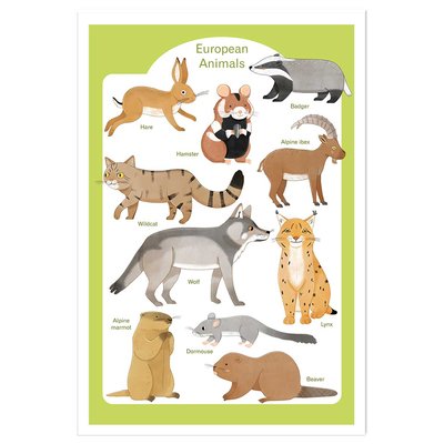 Affiche enfant animaux d'europe HEXOA