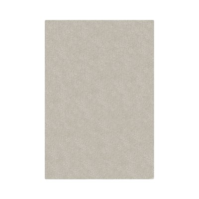 Tapis salon et chambre moderne shaggy MERINO NOVATREND