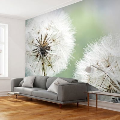 Papier peint intissé panoramique Fleurs Deux pissenlits EDEN