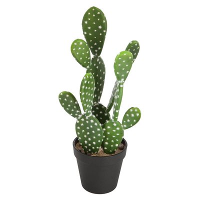 Cactus artificiel ATMOSPHERA