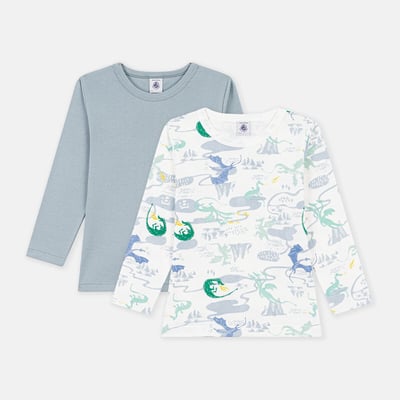 Confezione da 2 T-shirt maniche lunghe PETIT BATEAU