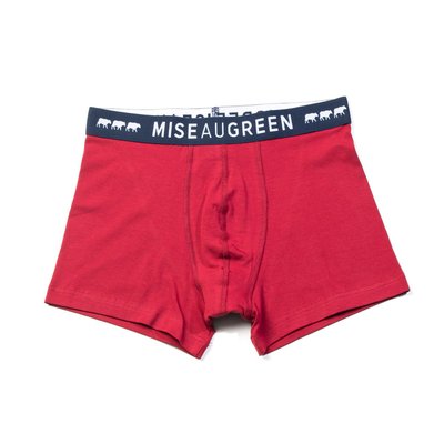 Boxer adrien MISE AU GREEN