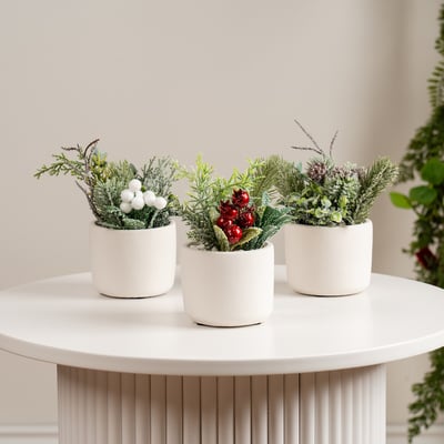 Set of 3 17cm Christmas Plants SO'HOME