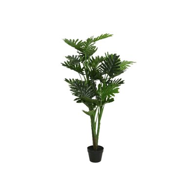 Philodendron en pot plastique KAEMINGK