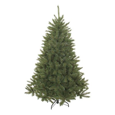 Sapin de Noël H215 cm BRISTLECONE TRIUMPH TREE