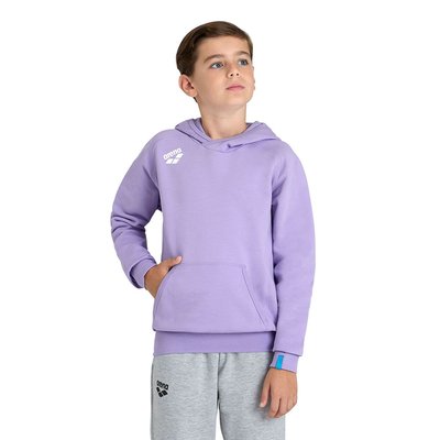 Sweat-shirt à capuche Team Junior Panel ARENA