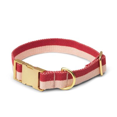 Collier chien réglable en coton bio, SMUK TADAZHI