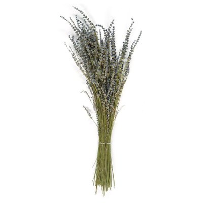Bouquet de Fleurs Séchées - Lavandes WADIGA