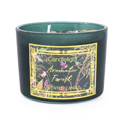 Chinoiserie Two Wick Aromatic Forest Candle SO'HOME