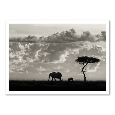 Affiche d’art 50 x 70 cm - Silhouette of an elephant WALL EDITIONS