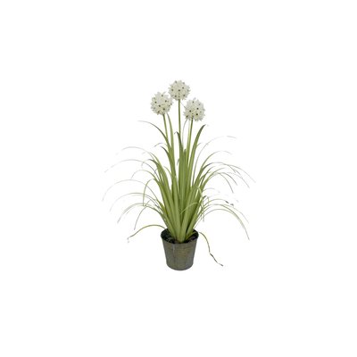 Agapanthe artificielle à fleurs hes pot en zinc NOW'S HOME