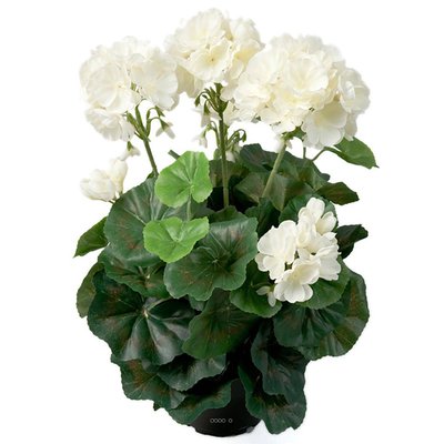Géranium artificiel 6 têtes en pot lesté H35c ARTIFICIELLES