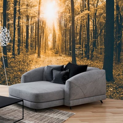 Papier peint intissé panoramique Paysage Magical Light EDEN