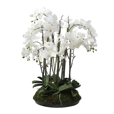 Composition d'orchidée artificielle avec mousse H90 SIA DECO