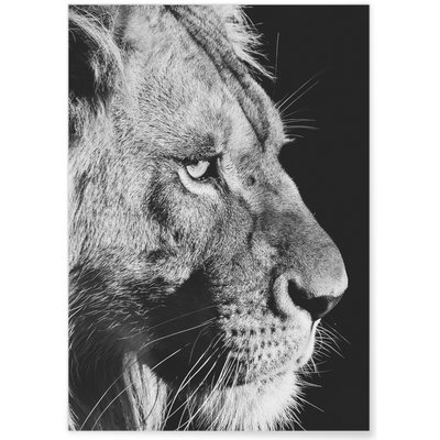 Poster Lion noir et blanc 4 L'AFFICHERIE