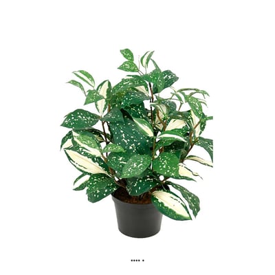 Pothos artificiel au feuillage tacheté H 35 ARTIFICIELLES