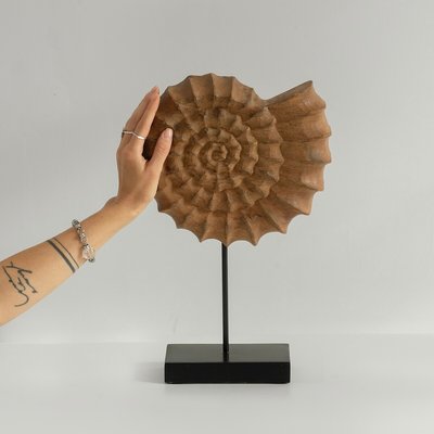 Декор для интерьера деревянный, фигурка ракушка из манго SO'HOME