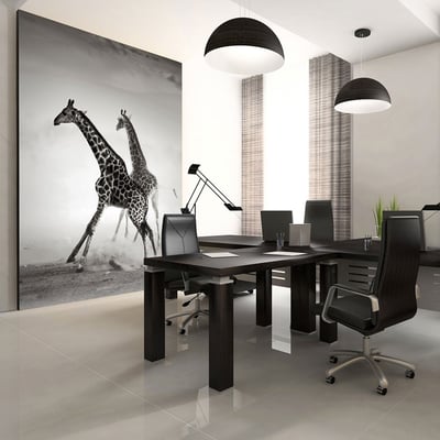 Papier peint intissé panoramique Animaux Girafes EDEN