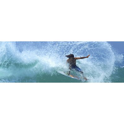 Tableau Mural Floater MER CEANOTHE