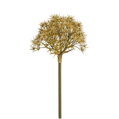 Tige d'allium atropurpureum artificielle H89 SIA DECO