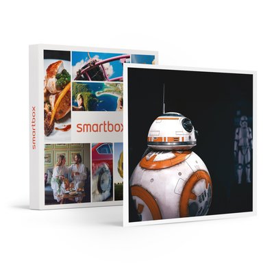Disney100 : L’Exposition - 1 billet Open pour 1 adulte- SMARTBOX - Coffret Cadeau Sport & Aventure SMARTBOX