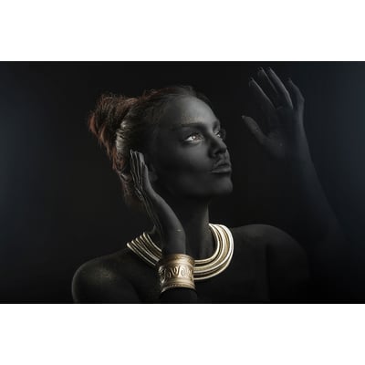 Tableau d'art sofia HEXOA