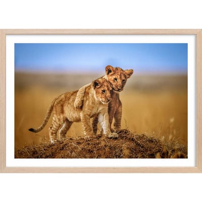 Affiche animaux brothers for the life HEXOA
