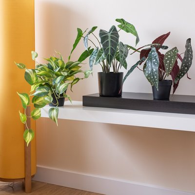 38cm Artificial Real Touch Caladium Plant SO'HOME