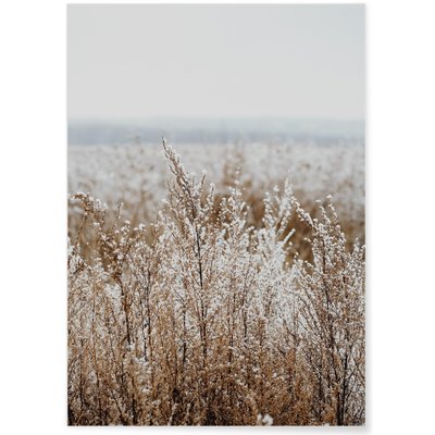 Poster Nature Winter 2 L'AFFICHERIE