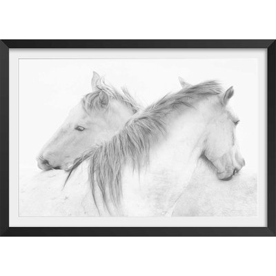Poster chevaux blancs au crayon de bois HEXOA