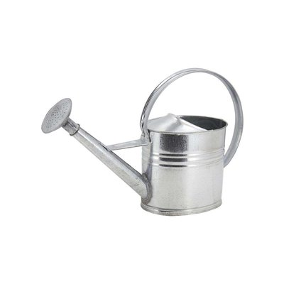 Arrosoir en zinc 10 litres AUBRY GASPARD