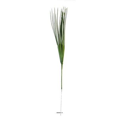 Isolepsis artificiel en plastique Vert H 53 cm tête large ARTIFICIELLES