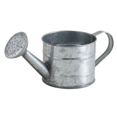 Petit arrosoir déco 75cl en zinc AUBRY GASPARD