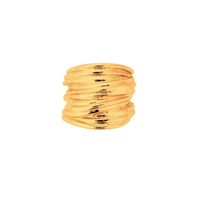 Bague en acier inoxydable ALEXANDRIA HIPANEMA
