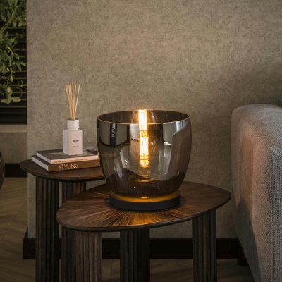 Lampe de salon moderne avec vasque en verre gris fumé 27 cm NIAGARA PIER IMPORT