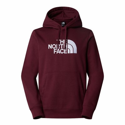 Felpa con cappuccio e logo THE NORTH FACE