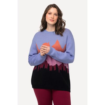 Pull à col rond et manches longues ULLA POPKEN