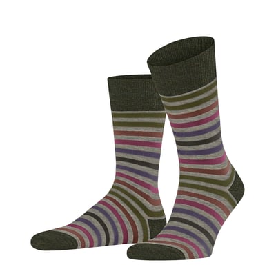 Chaussettes Tinted Stripe FALKE