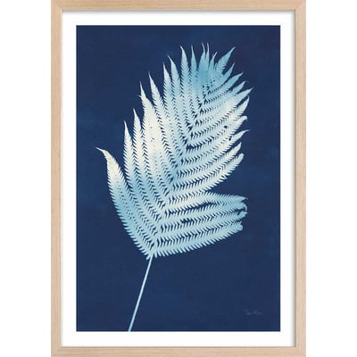 Affiche Fougère d'argent HEXOA