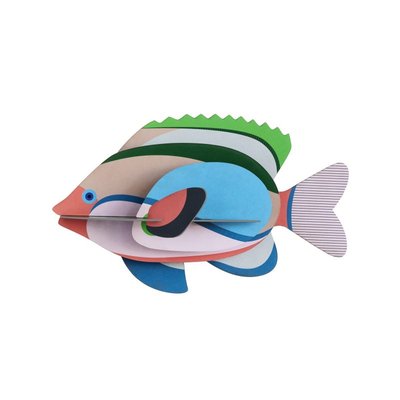 Poisson décoratif mural  Fairy Wrasse STUDIO ROOF