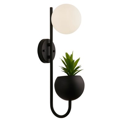 Pluto Orb and Plant Wall Light SO'HOME